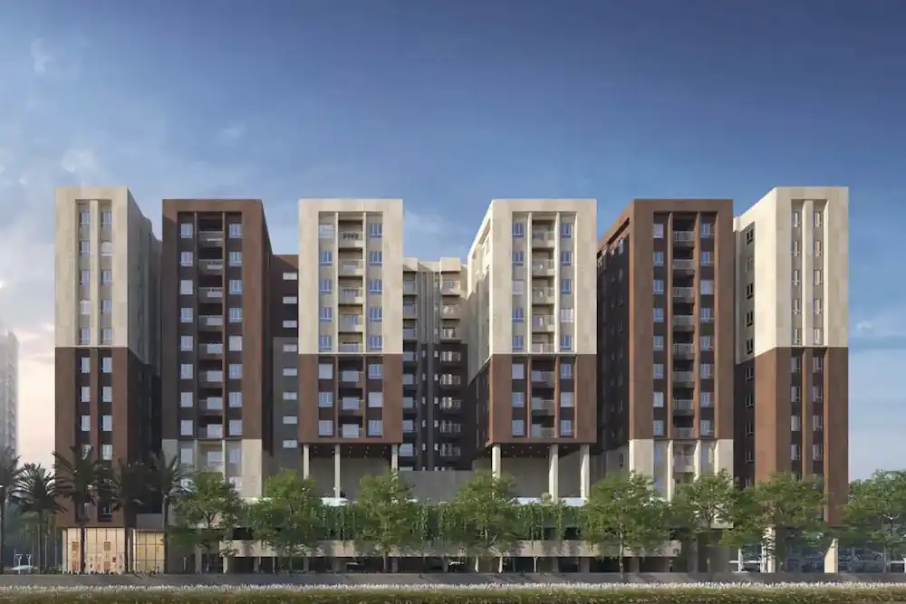 1-214467-1728906824238 1-214467-1728906824238